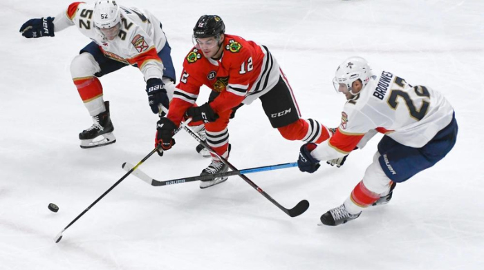 panthers, blackhawks, and senators