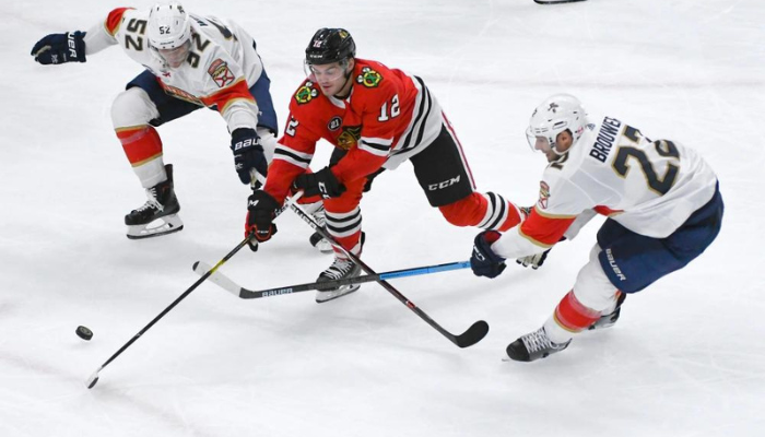 panthers, blackhawks, and senators