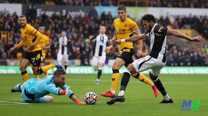 wolves vs newcastle sure tips