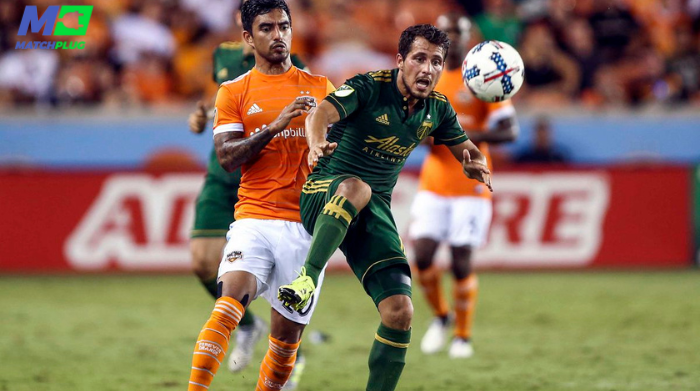 timbers vs dynamo sure tips