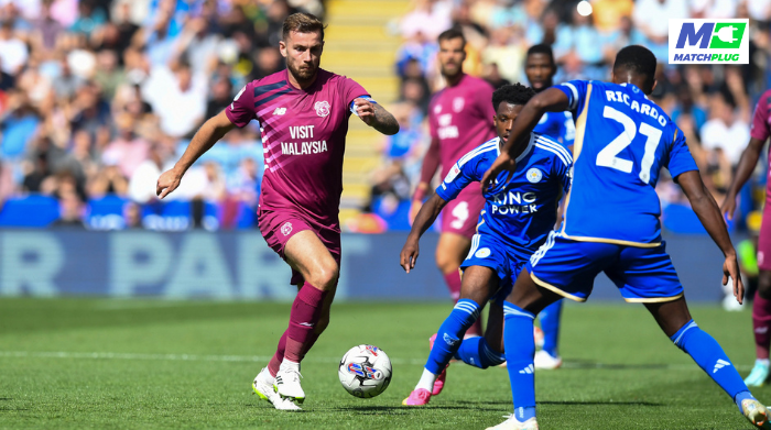 cardiff vs leicester sure tips