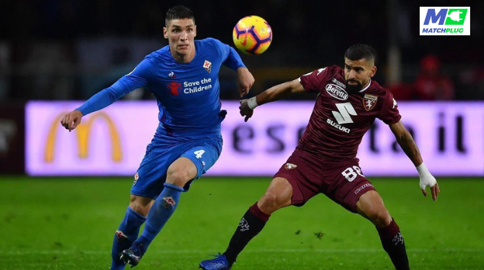 fiorentina vs torino sure tips