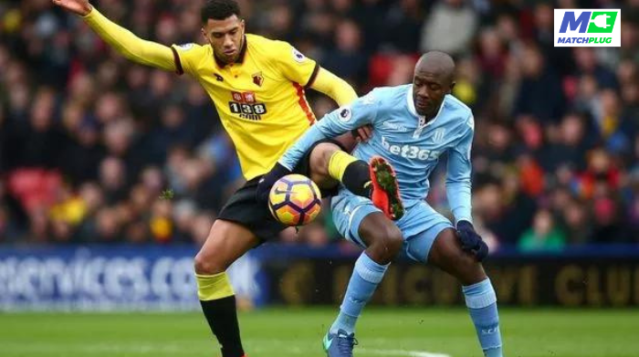 watford vs stoke city sure tips