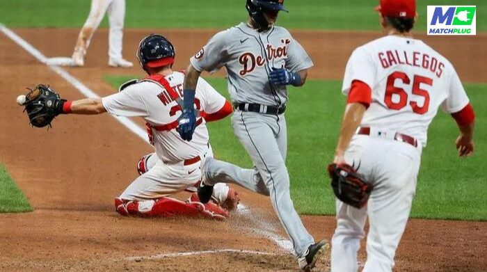 tigers vs cardinals betting predictions