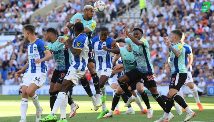 newcastle vs brighton sure tips