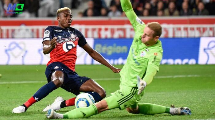 football predictions today: lille vs toulouse sure tips