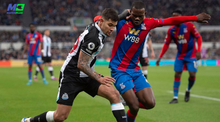 crystal palace vs newcastle