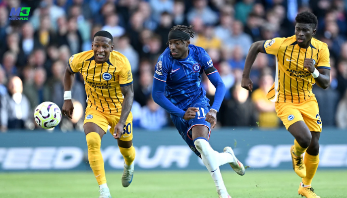 brighton vs chelsea