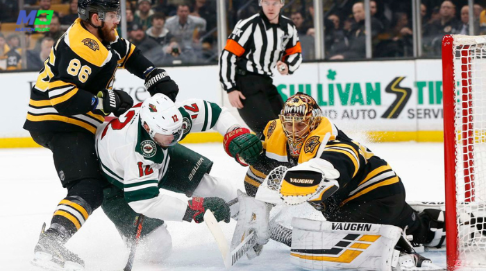 bruins vs wild